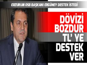 Dövizi bozdur ve ithal ürün yerine yerliye tercih et