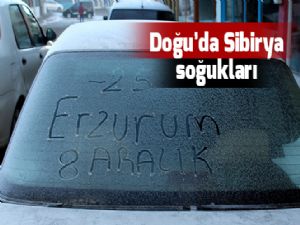 Doğu'da Sibirya soğukları