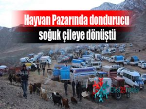 Hayvan Pazarında dondurucu soğuk çileye dönüştü