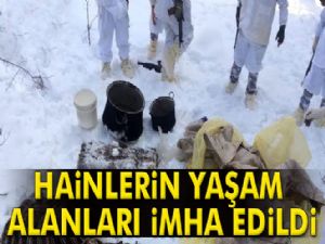 Tunceli'de hainlerin yaşam alanları imha edildi