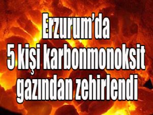 Erzurum'da 5 kişi karbonmonoksit gazından zehirlendi