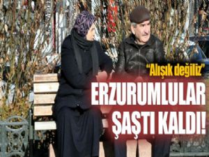 Erzurum zemheride yazı yaşıyor!