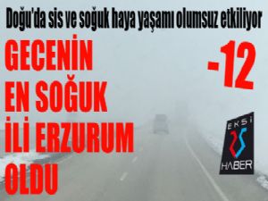 Doğu Anadolu'da soğuk hava ve sis