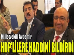 Milletvekili Aydemir: 