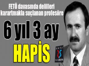 FETÖ davasında delilleri karartmakla suçlanan profesör, 6 yıl 3 ay hapse mahkum edildi