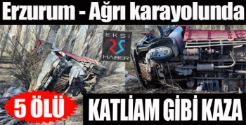 Erzurum - Ağrı karayolunda kamyon şarampole devrildi: 5 ölü