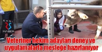 Veteriner hekim adayları deney ve uygulamalarla mesleğe hazırlanıyor