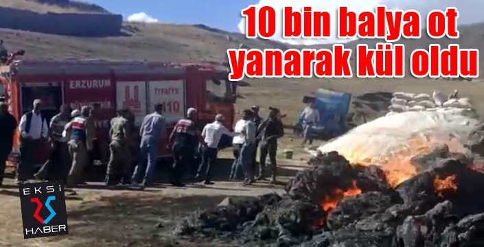 10 bin balya ot yanarak kül oldu