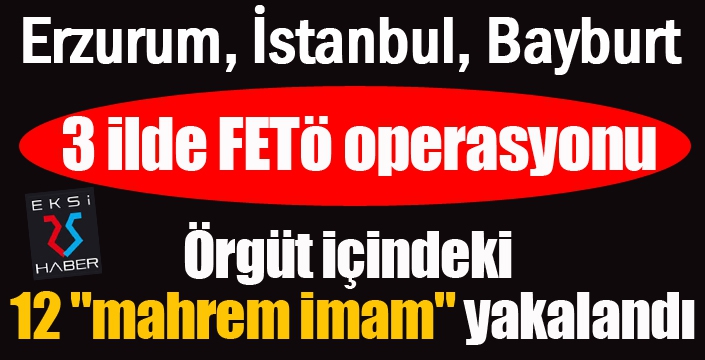 3 ilde FETÖ operasyonu: Örgüt içindeki 12 