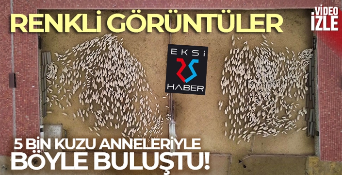 5 bin kuzu anneleriyle böyle buluştu