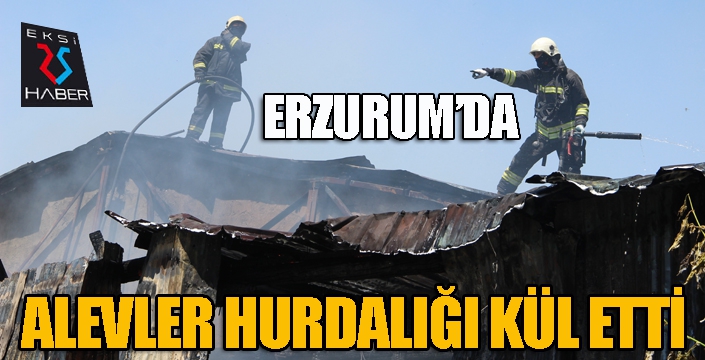 Alevler hurdalığı kül etti