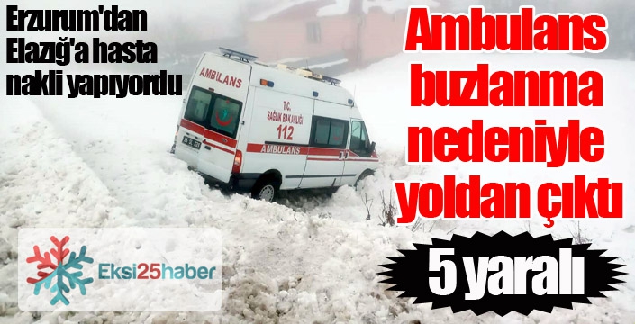 Ambulans buzlanma nedeniyle yoldan çıktı: 5 yaralı