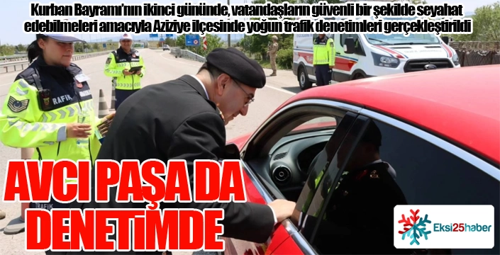 Avcı Paşa da denetimde...