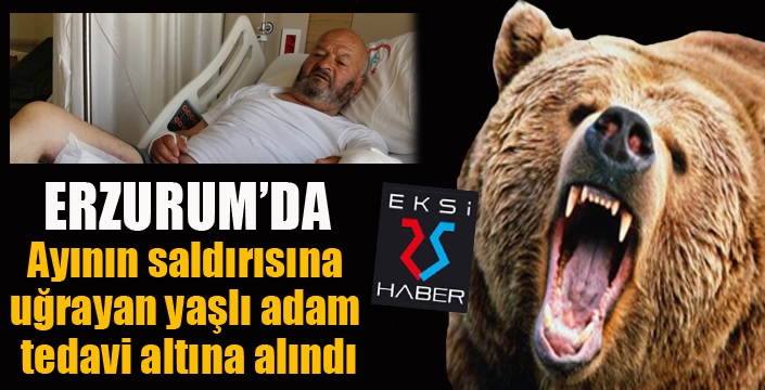 Ayının saldırısına uğrayan yaşlı adam tedavi altına alındı