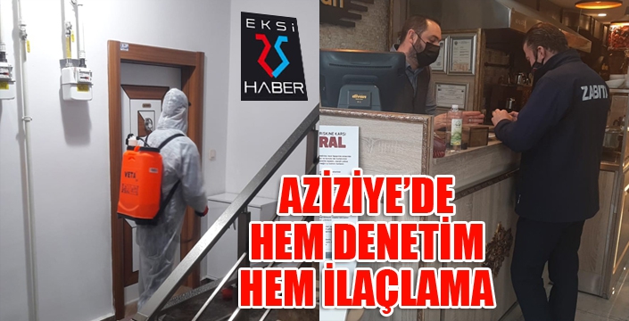 Aziziye’de denetim ve ilaçlama bir arada