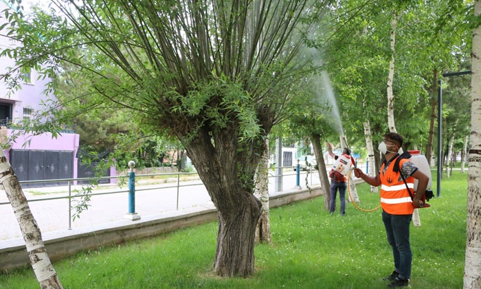 Aziziye’de haşerelere geçit yok