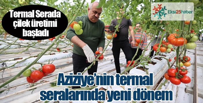 Aziziye’nin termal seralarında yeni dönem