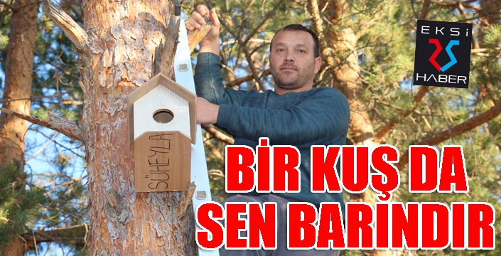 Bir kuş da sen barındır...