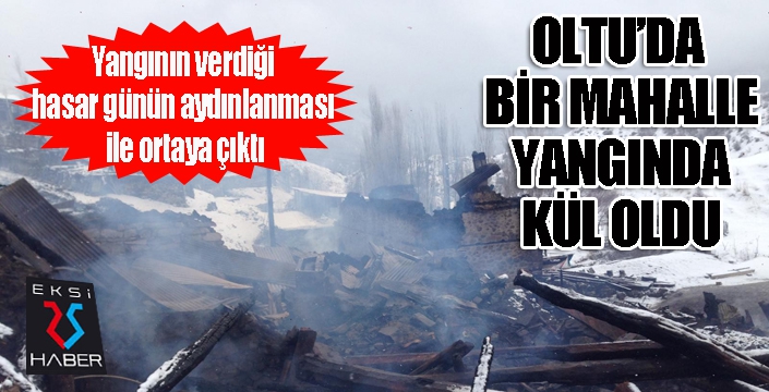 Bir mahalle yangında kül oldu