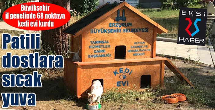 Büyükşehir il genelinde 68 noktaya kedi evi kurdu