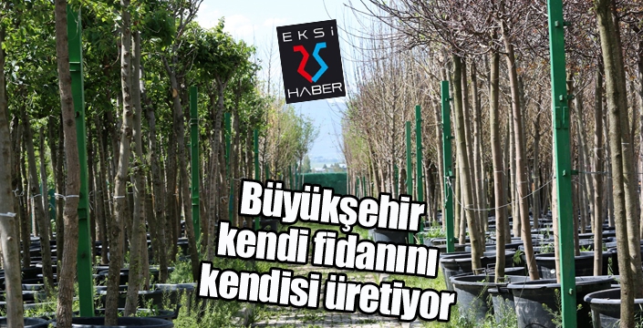 Büyükşehir kendi fidanını kendisi üretiyor