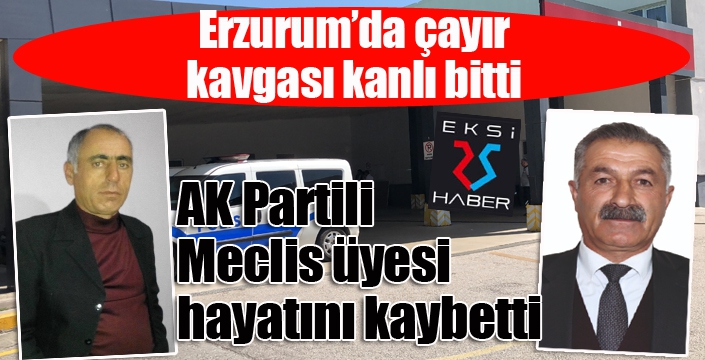 Çayır kavgası kanlı bitti, AK Partili Meclis üyesi hayatını kaybetti