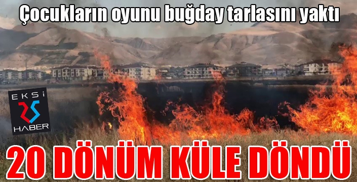 Çocukların oyunu buğday tarlasını yaktı, 20 dönüm küle döndü