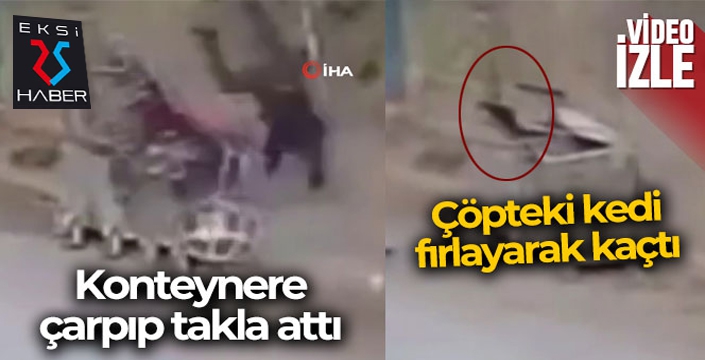 Çöp konteynerine çarpıp takla attı, çöpteki kedi fırladı