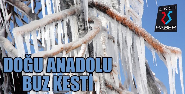 Doğu Anadolu buz kesti