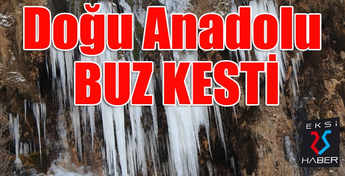 Doğu Anadolu buz kesti