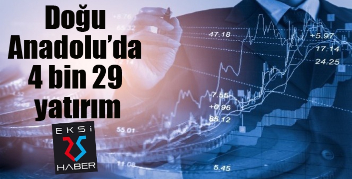 Doğu Anadolu’da 4 bin 29 yatırım
