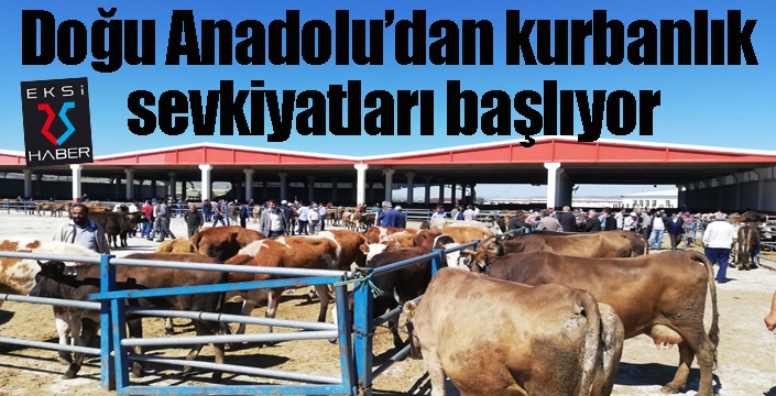 Doğu Anadolu’dan kurbanlık sevkiyatları başlıyor