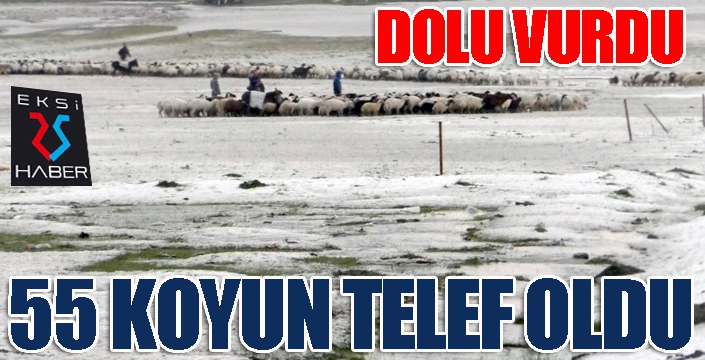 Dolu vurdu... 55 koyun telef oldu