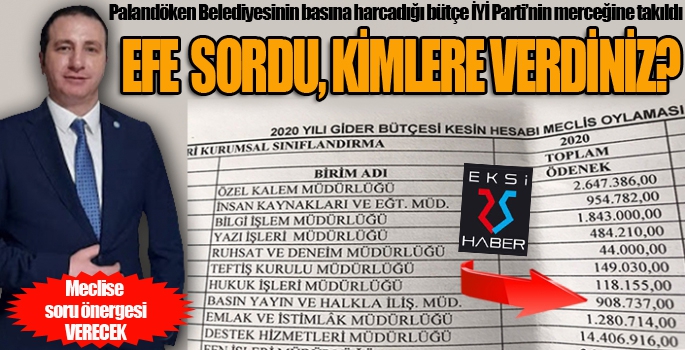 EFE SORDU KİMLERE VERDİNİZ?