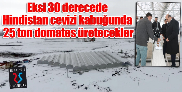 Eksi 30 derecede Hindistan cevizi kabuğunda 25 ton domates üretecekler