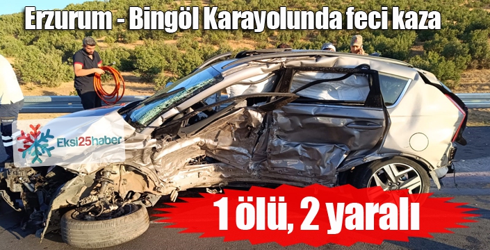 Erzurum - Bingöl karayolunda feci kaza... 1 ölü, 2 yaralı...