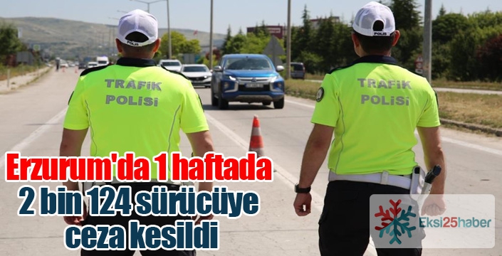 Erzurum'da 1 haftada 2 bin 124 sürücüye ceza kesildi
