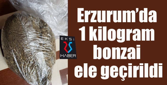 Erzurum’da 1 kilogram bonzai ele geçirildi