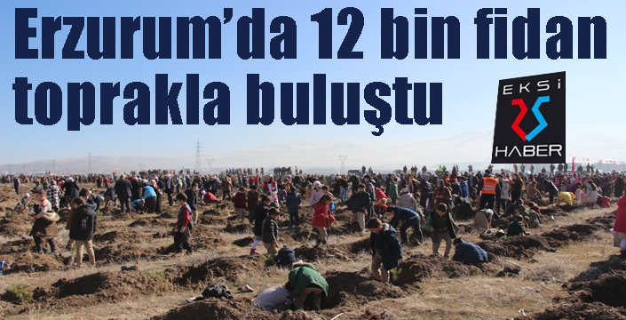 Erzurum’da 12 bin fidan toprakla buluştu
