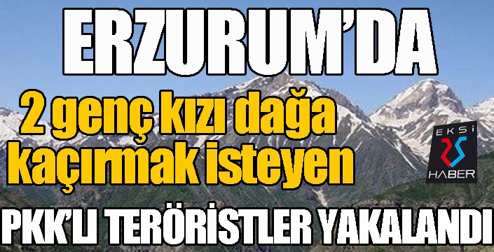 Erzurum'da 2 genç kızı dağa kaçırmak isteyen PKK’lı teröristler yakalandı