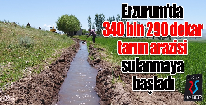 Erzurum’da 340 bin 290 dekar tarım arazisi sulanmaya başladı