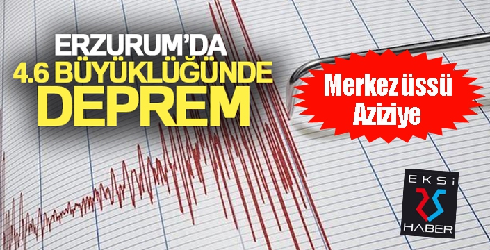 Erzurum'da 4.6 büyüklüğünde deprem