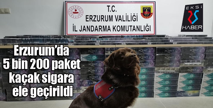 Erzurum’da 5 bin 200 paket kaçak sigara ele geçirildi