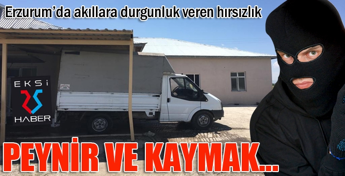 Erzurum’da akıllara durgunluk veren hırsızlık 