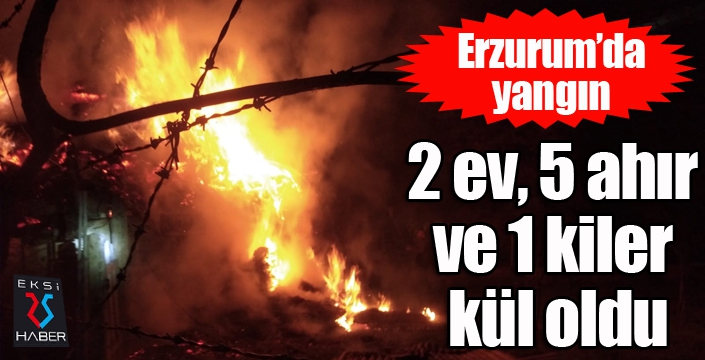 Erzurum’da alevler geceyi aydınlattı: 2 ev, 5 ahır ve 1 kiler kül oldu