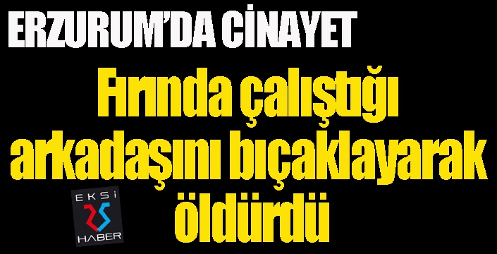 Erzurum'da cinayet... Mesai Arkadaşını bıçaklayarak öldürdü...