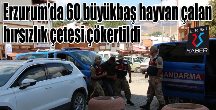 Erzurum’da hayvan hırsızlığı çetesi çökertildi