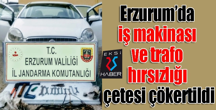 Erzurum’da iş makinası ve trafo hırsızlığı çetesi çökertildi