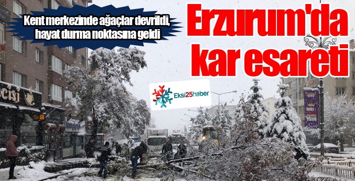 Erzurum'da kar esareti