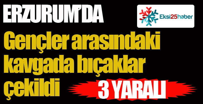 Erzurum'da kavgada bıçaklar çekildi: 3 yaralı...